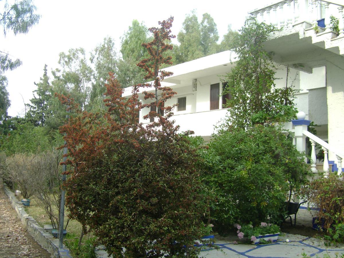 Villa Zoi Thronion Bagian luar foto