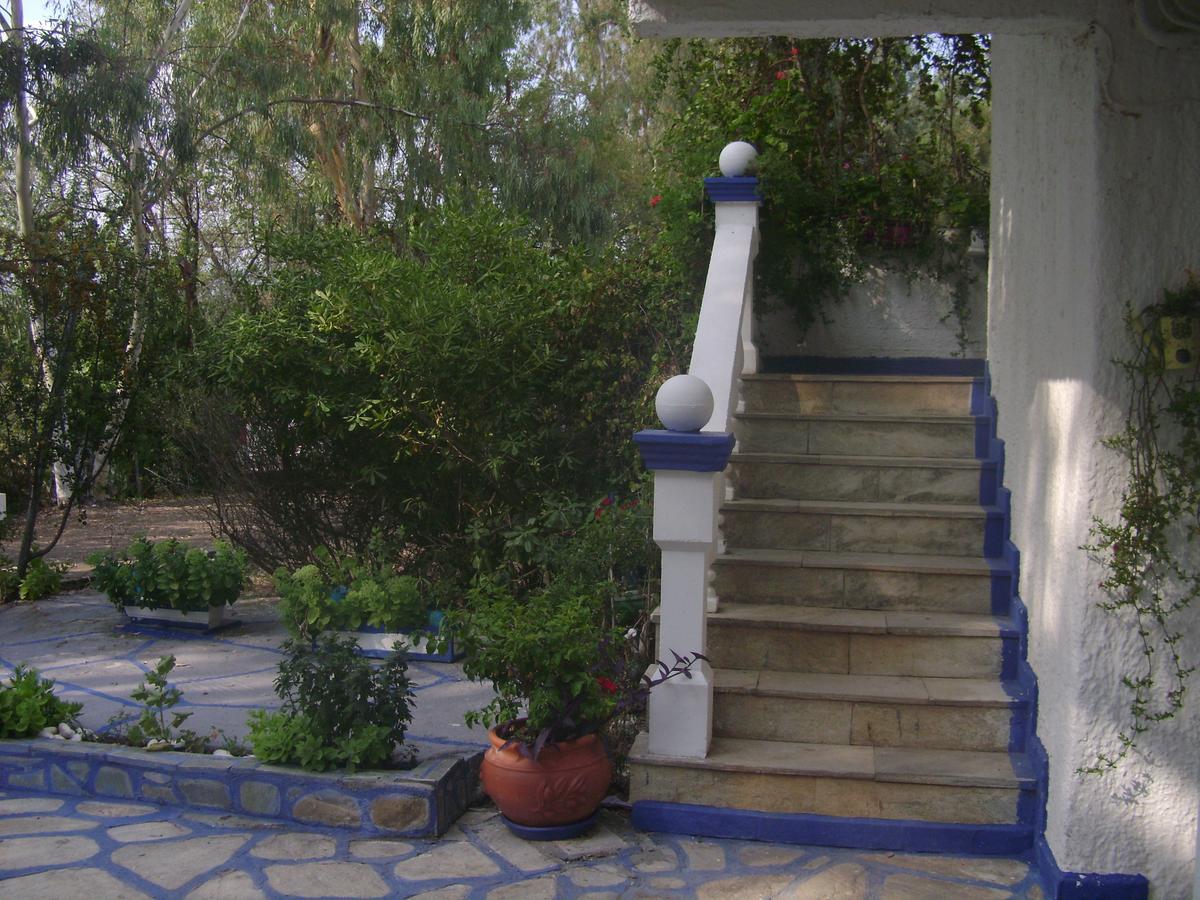 Villa Zoi Thronion Bagian luar foto