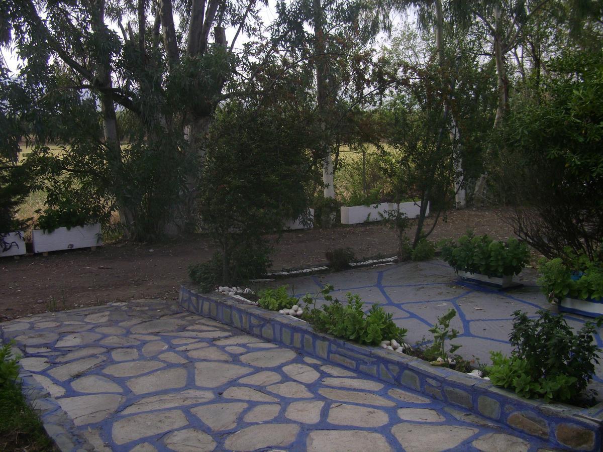 Villa Zoi Thronion Bagian luar foto