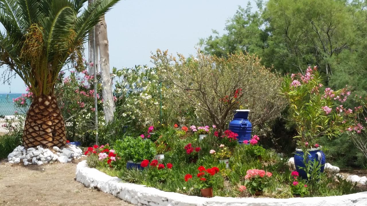 Villa Zoi Thronion Bagian luar foto